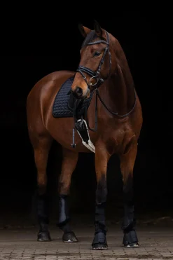 Vielseitigkeitsschabracke mit Glitzerapplikationen