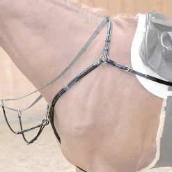 Vorderzeug Diandro, W