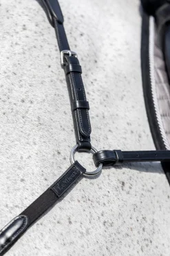 Vorderzeug mit abnehmbarem Martingal