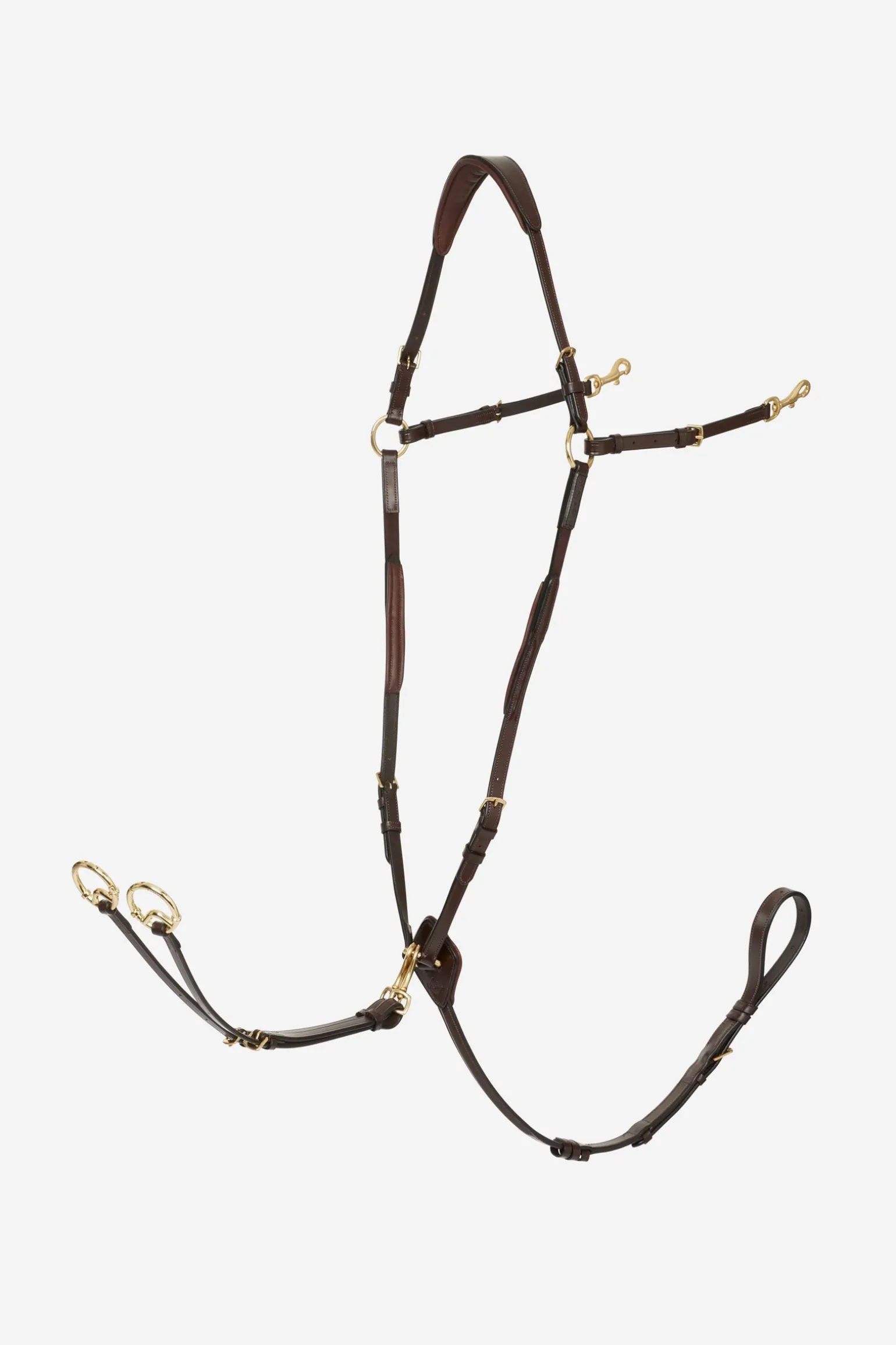 Vorderzeug mit abnehmbarem Martingal