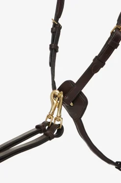 Vorderzeug mit abnehmbarem Martingal