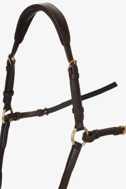 Vorderzeug mit abnehmbarem Martingal