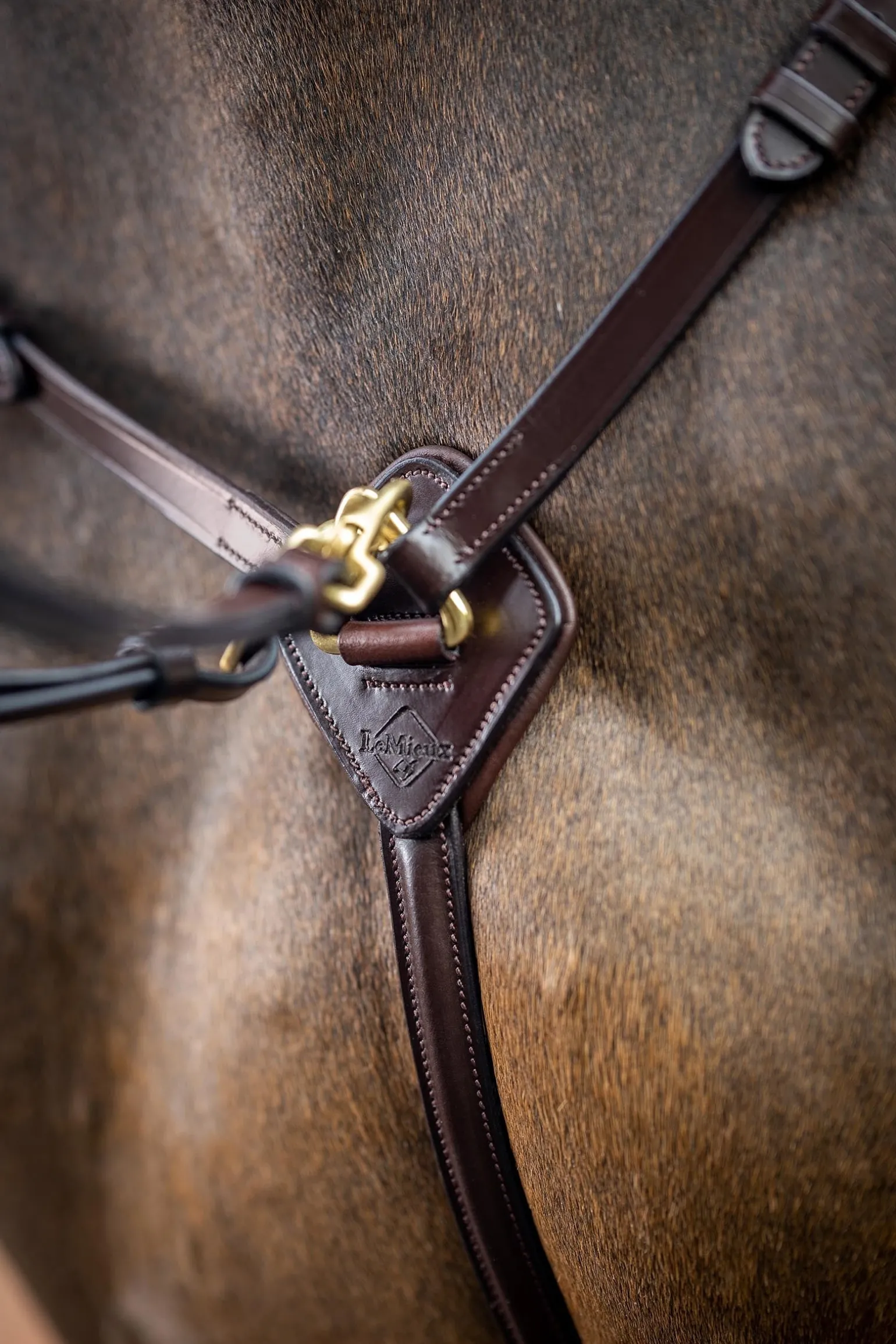 Vorderzeug mit abnehmbarem Martingal