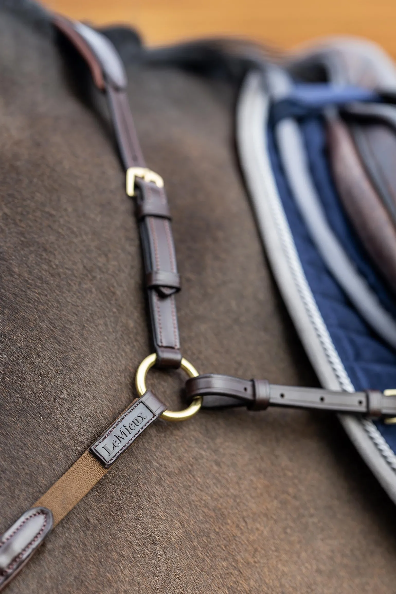 Vorderzeug mit abnehmbarem Martingal