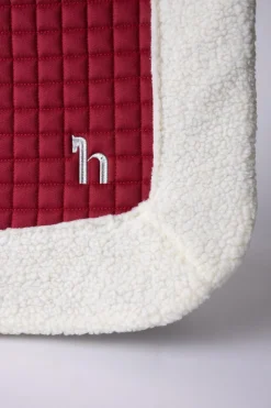 Weihnachtliche Vielseitigkeitsschabracke