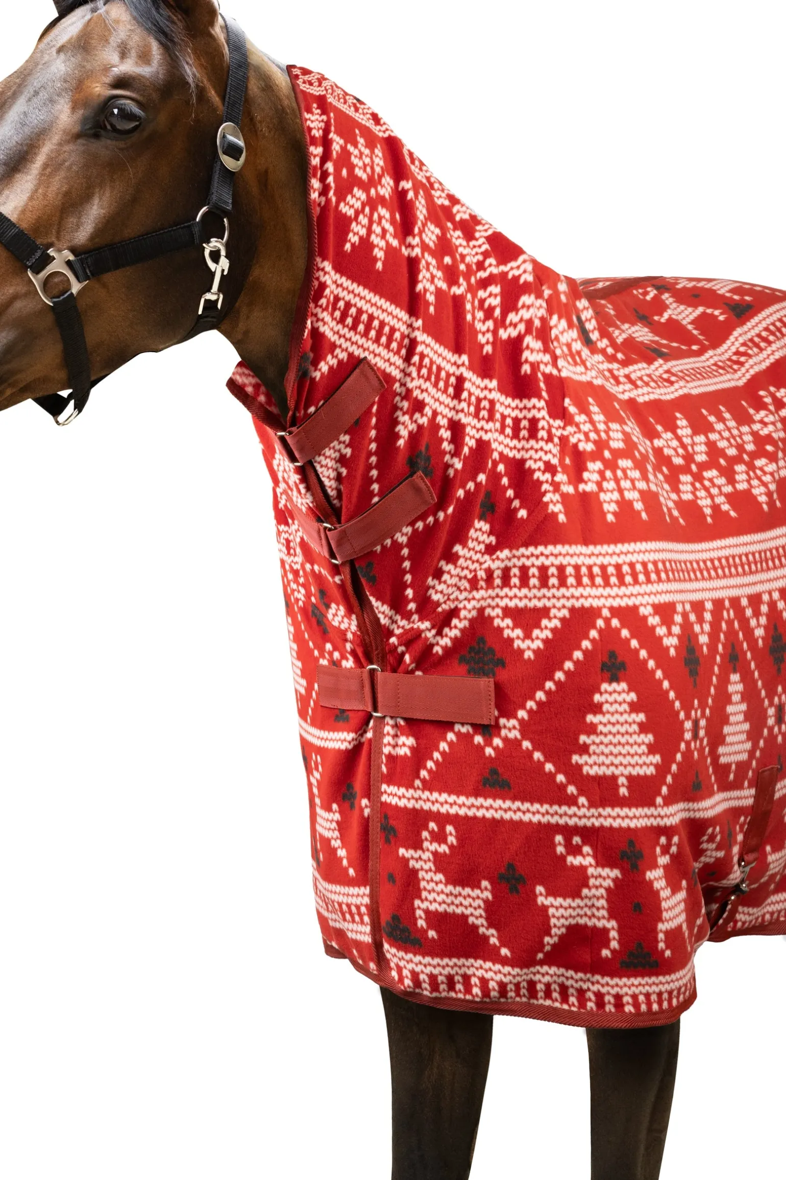 Weihnachts-Pullover für Pferde