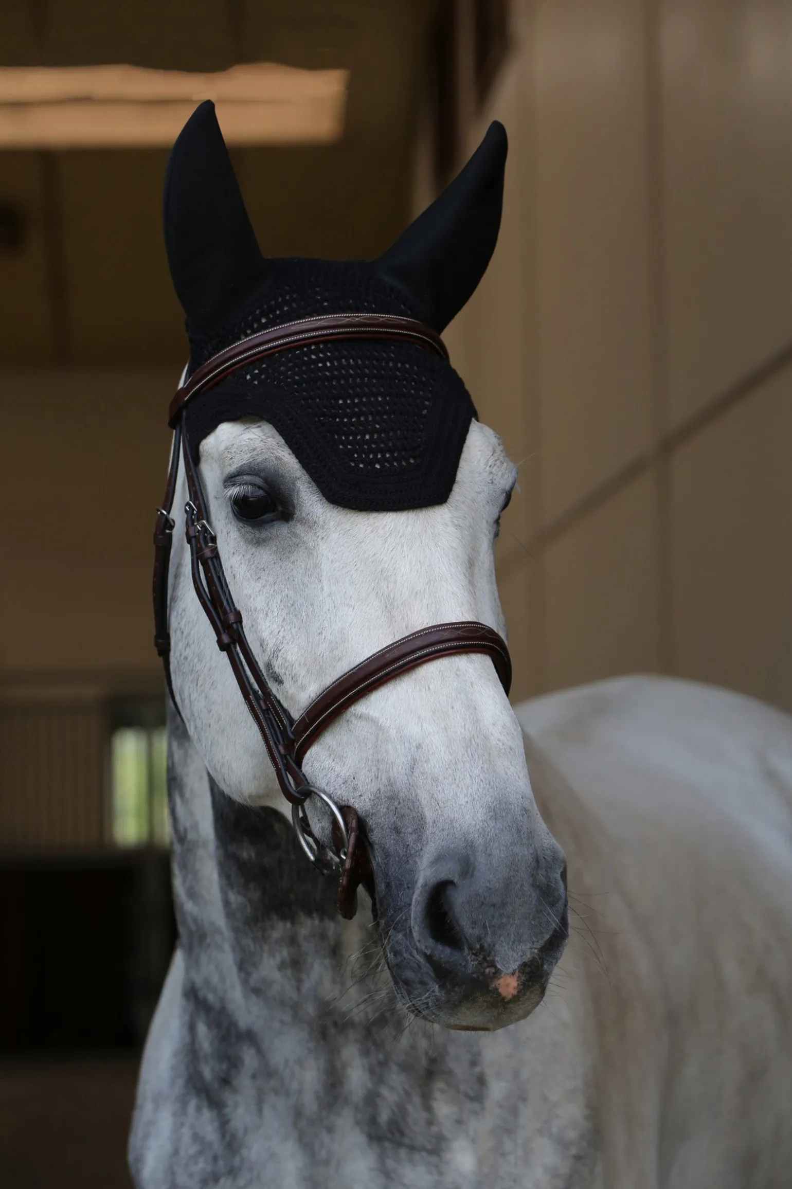 Wellington Fliegenhaube Schalldicht