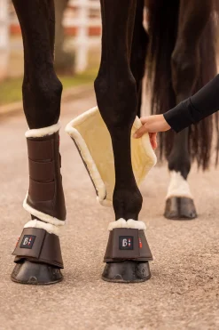 Wellington Gamaschen