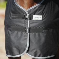 Winnipeg Weidedecke, 50g