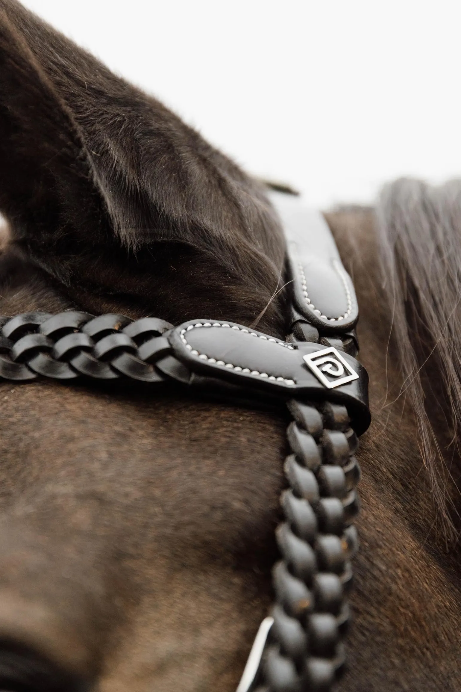 Working Trainings-Trense mit geflochtenen Details