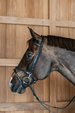 Working Trainings-Trense mit geflochtenen Details