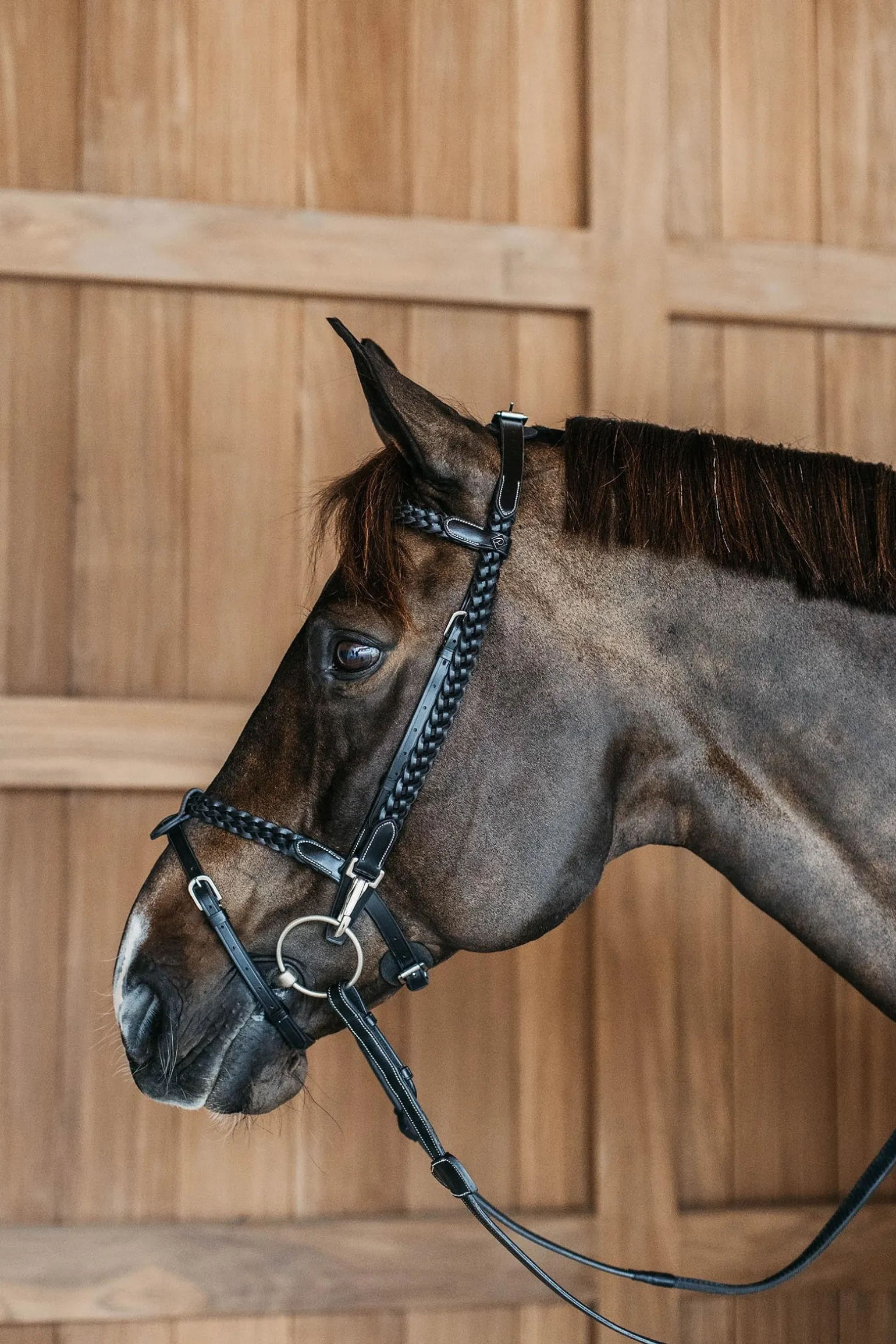 Working Trainings-Trense mit geflochtenen Details