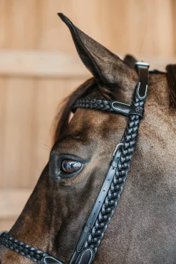 Working Trainings-Trense mit geflochtenen Details