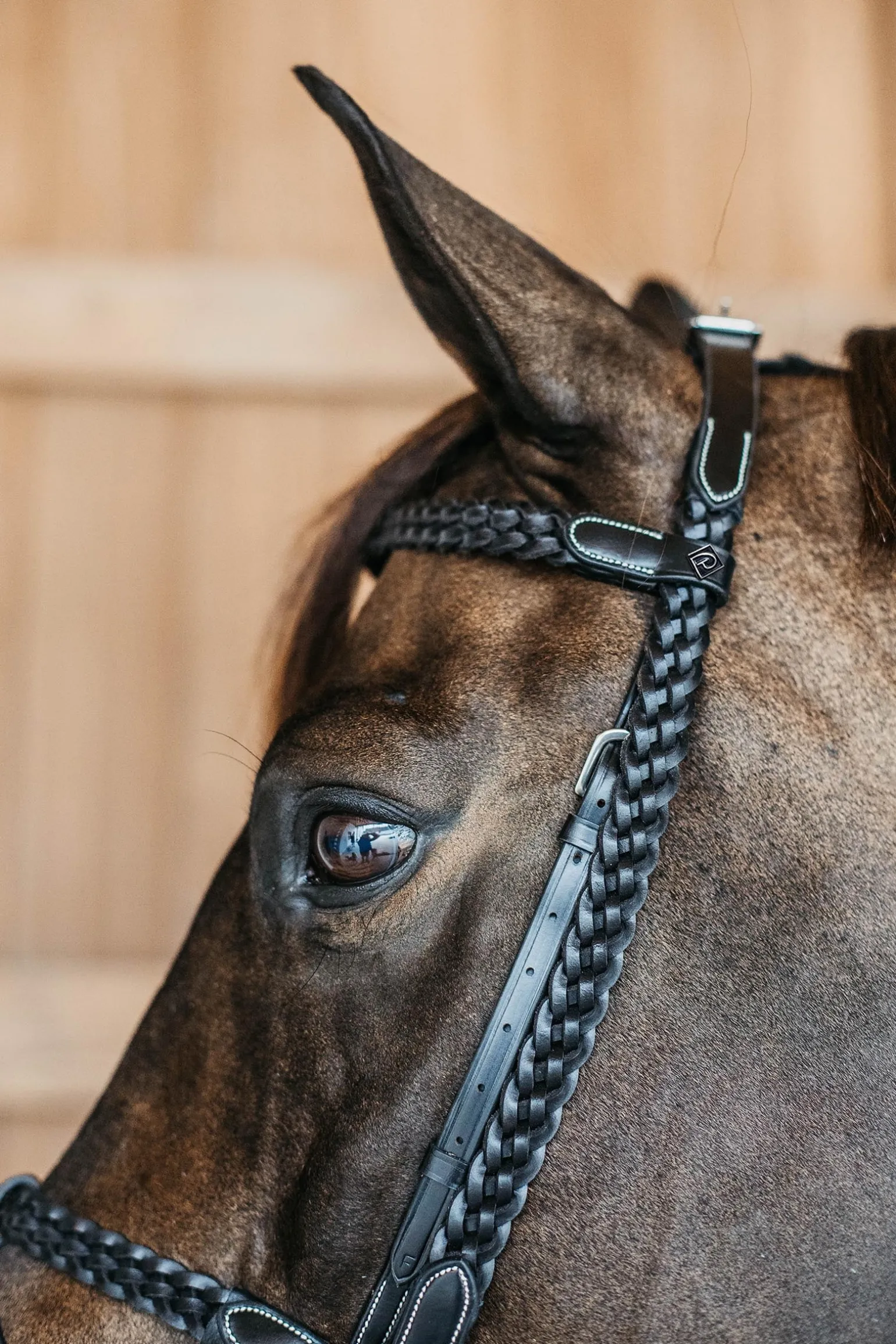 Working Trainings-Trense mit geflochtenen Details