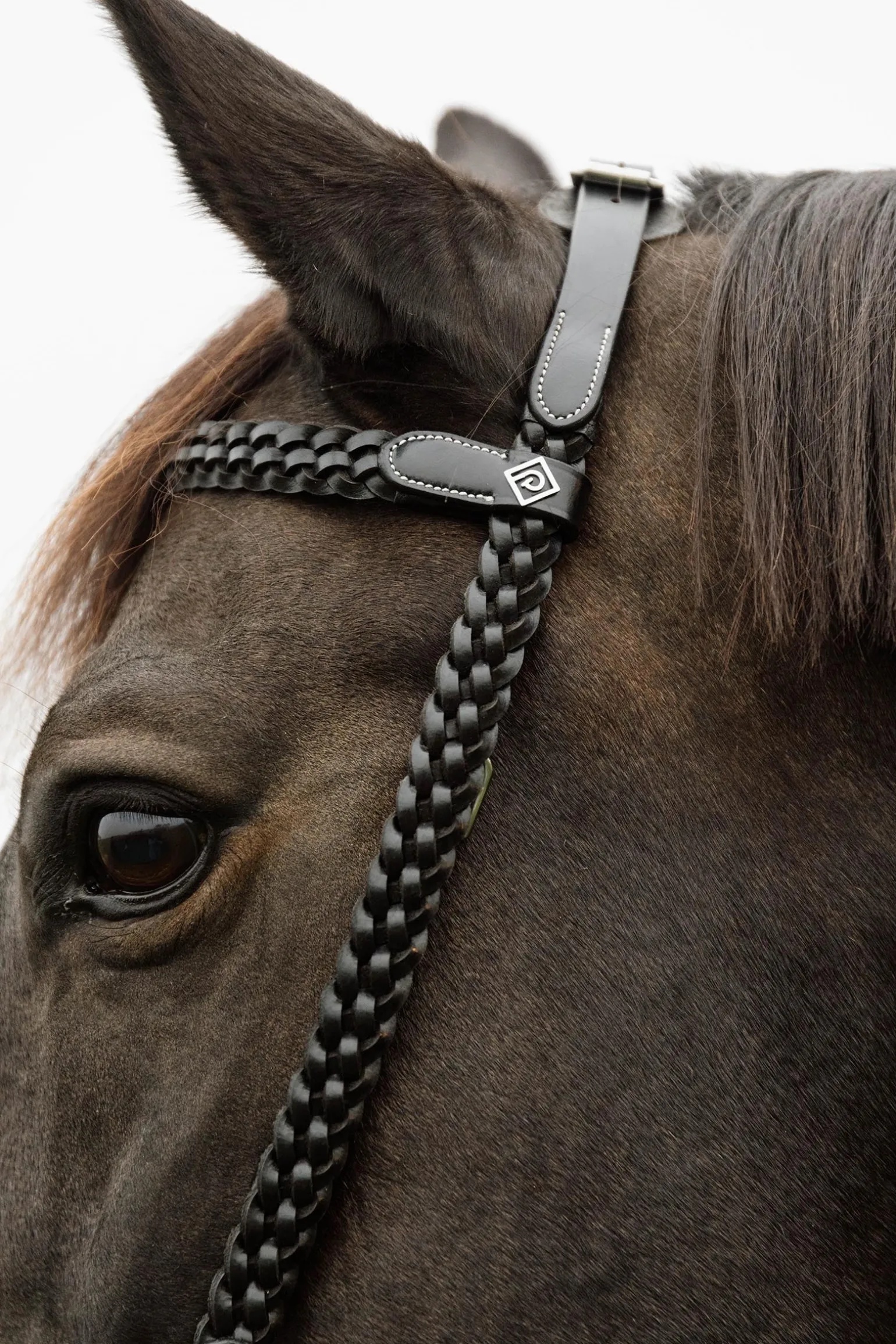 Working Trainings-Trense mit geflochtenen Details