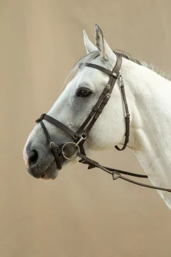 Working Trense aus flachem Leder mit Karabinerhaken