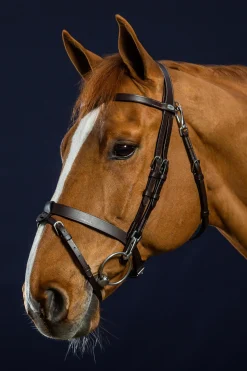 Working Trense aus flachem Leder mit Karabinerhaken