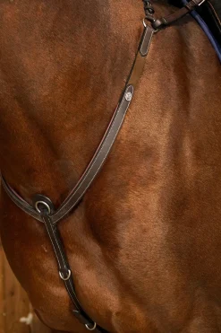 Working Vorderzeug mit Brücke