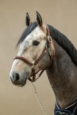 Working weiches 2-in-1 Transporthalfter