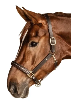 X-Line Crystal Lederhalfter