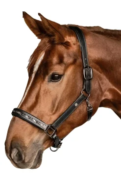 X-Line Crystal Lederhalfter