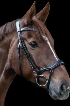 X-Line New Shape II Trense