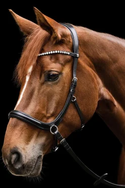 X-Line Sensation anatomische gebisslose Trense