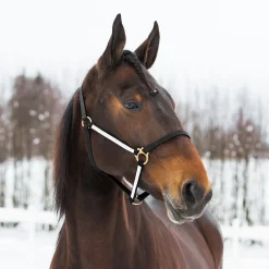 Yankee Nylon-Halfter, 20mm