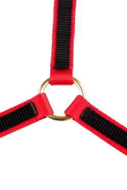 Yankee Nylon-Halfter, 20mm, offene Nase