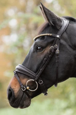 Zora Krank Trense mit Sprerriemen