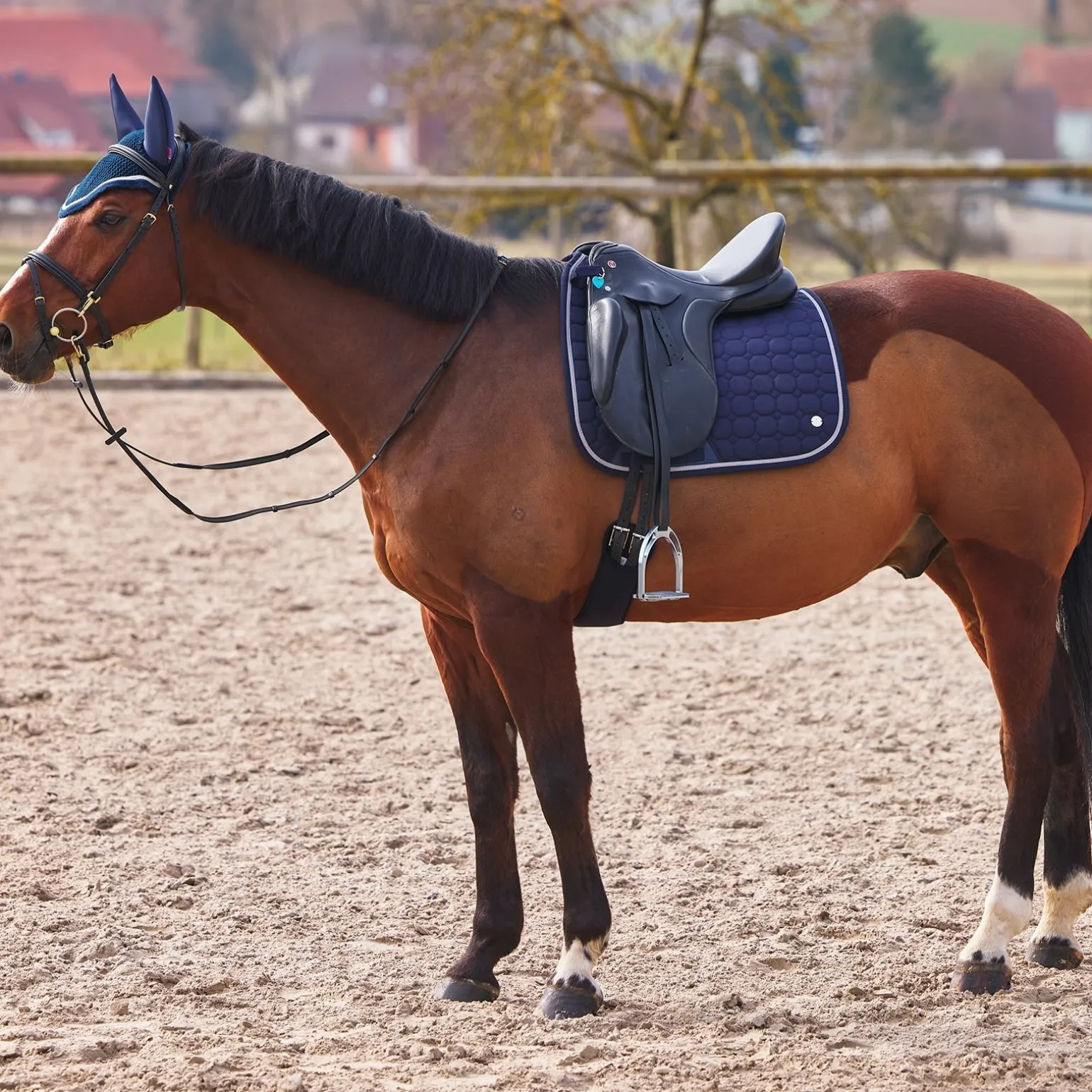 Zurich Dressurschabracke